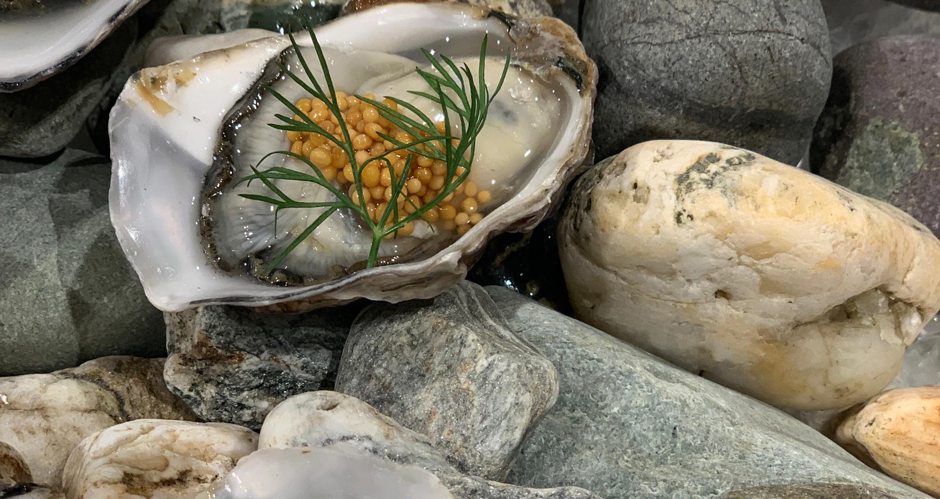 Fresh oysters served at Boardwalk restaurant Queenstown